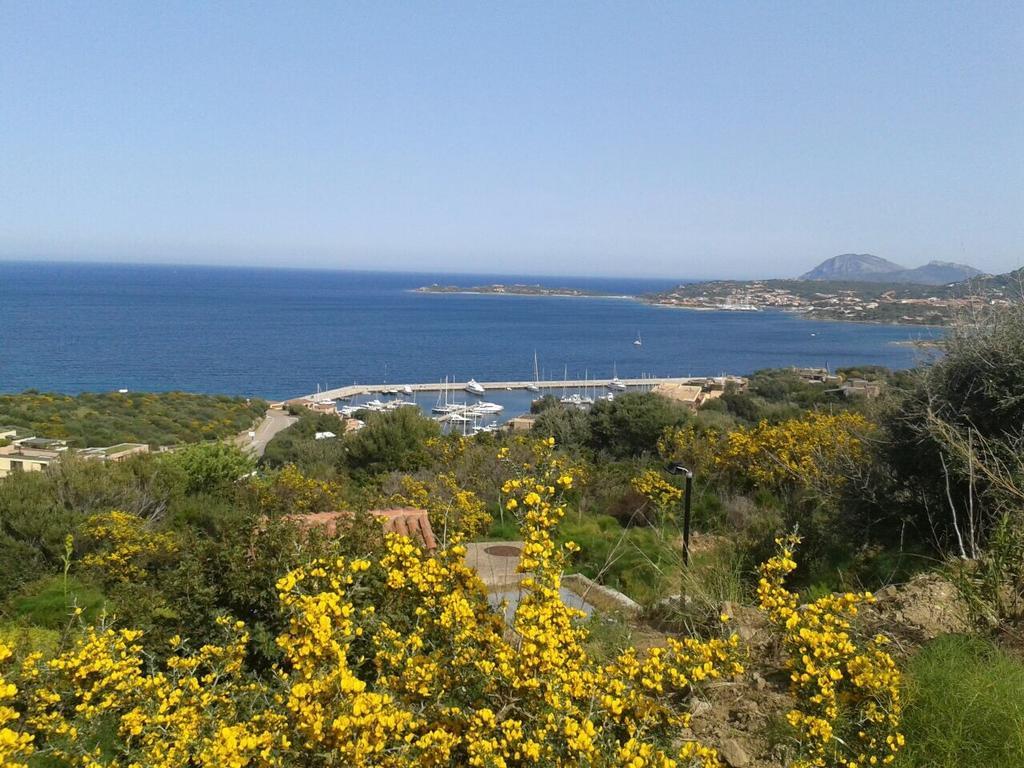 Domus Corallia-Luxury Rooms Porto Rotondo Exterior foto